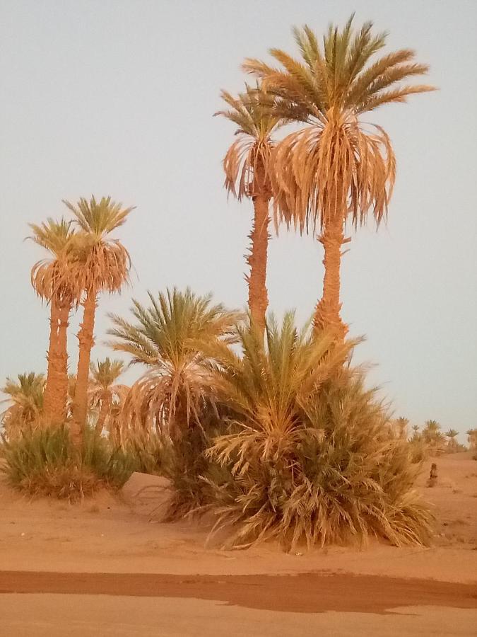 Sahara Peace Camp Hotel Zagora Bagian luar foto