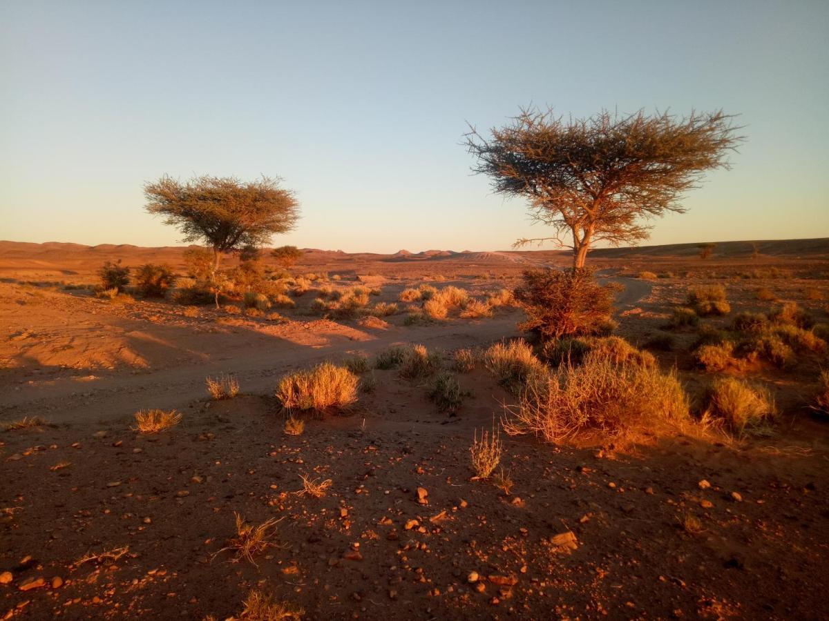Sahara Peace Camp Hotel Zagora Bagian luar foto