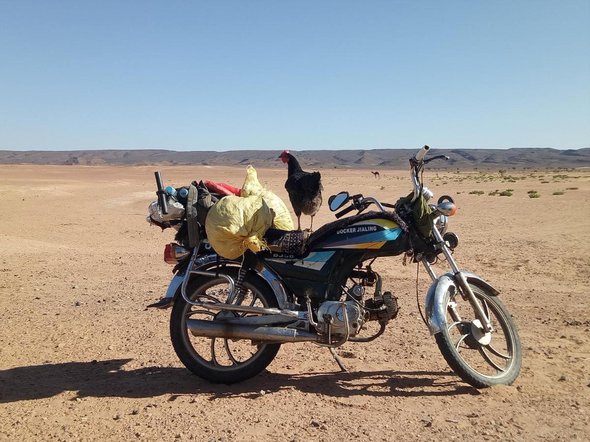 Sahara Peace Camp Hotel Zagora Bagian luar foto