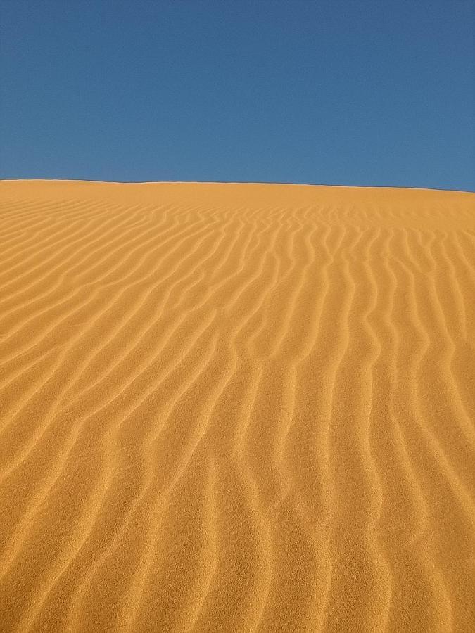Sahara Peace Camp Hotel Zagora Bagian luar foto