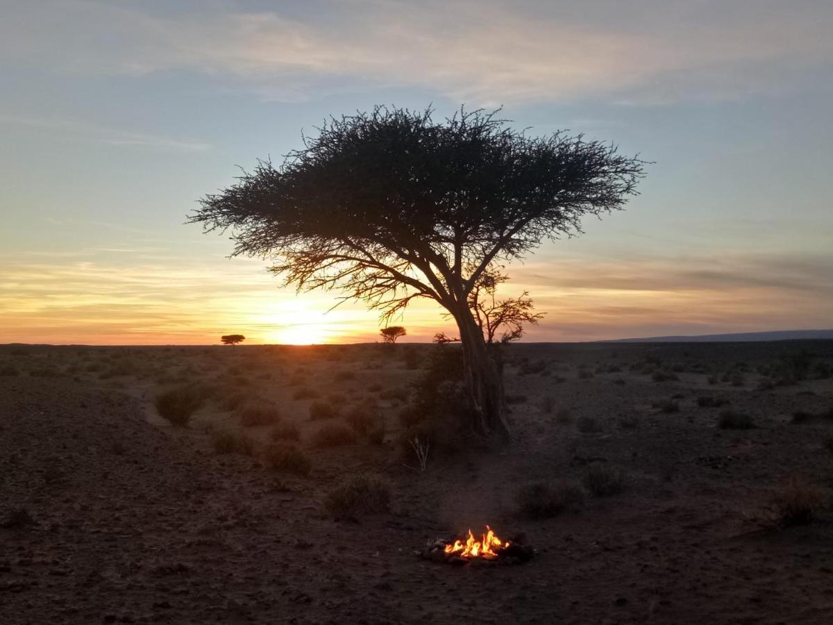 Sahara Peace Camp Hotel Zagora Bagian luar foto