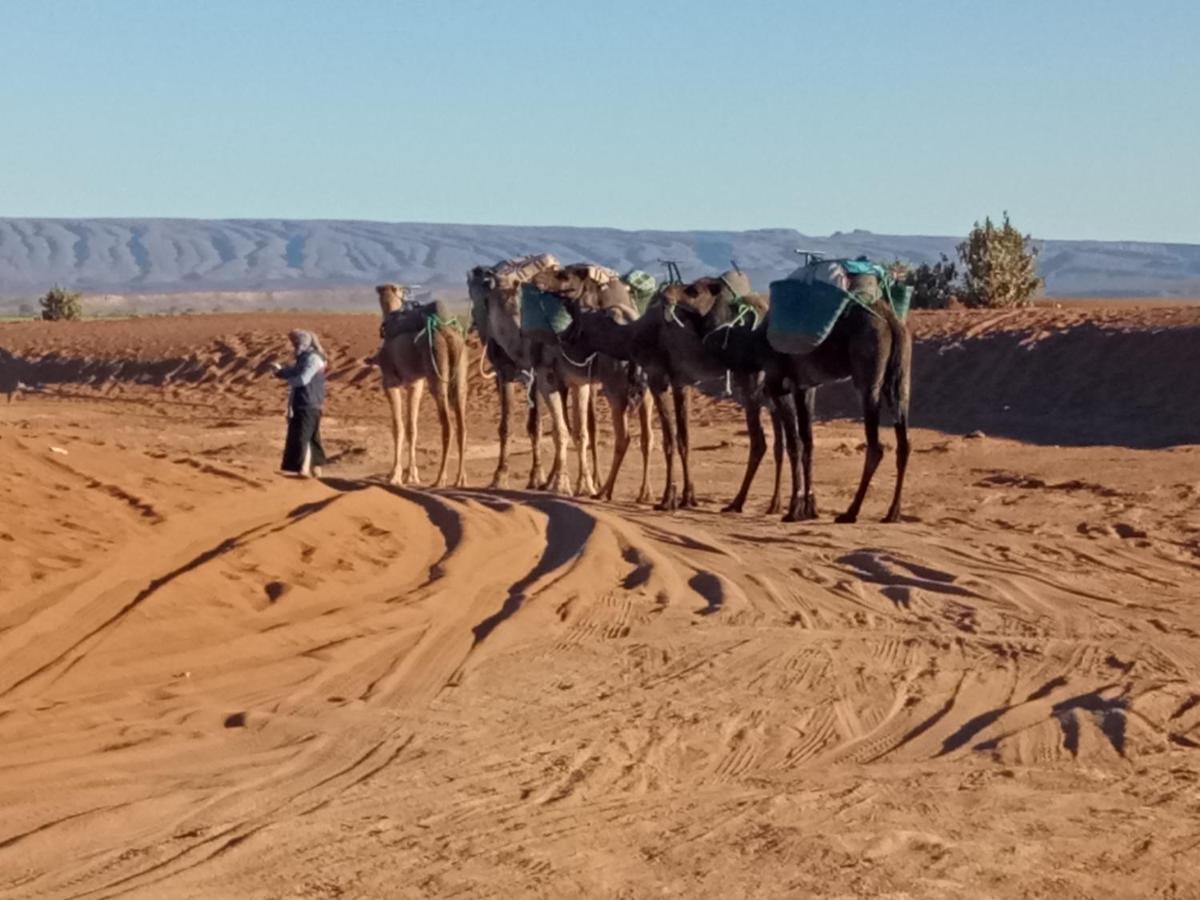 Sahara Peace Camp Hotel Zagora Bagian luar foto