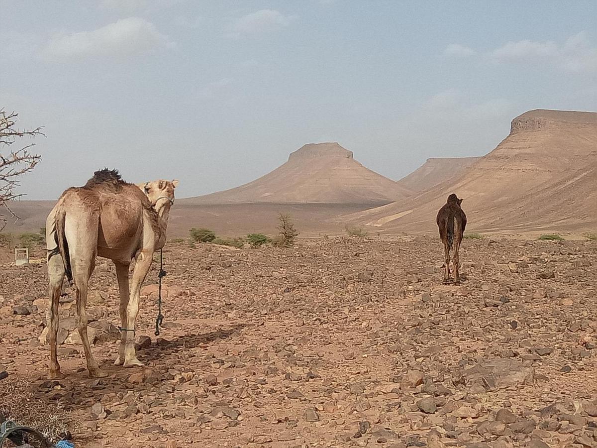 Sahara Peace Camp Hotel Zagora Bagian luar foto