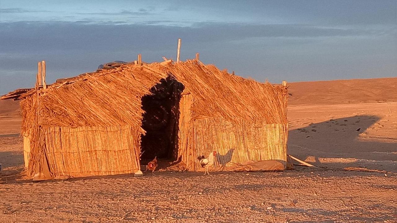 Sahara Peace Camp Hotel Zagora Bagian luar foto