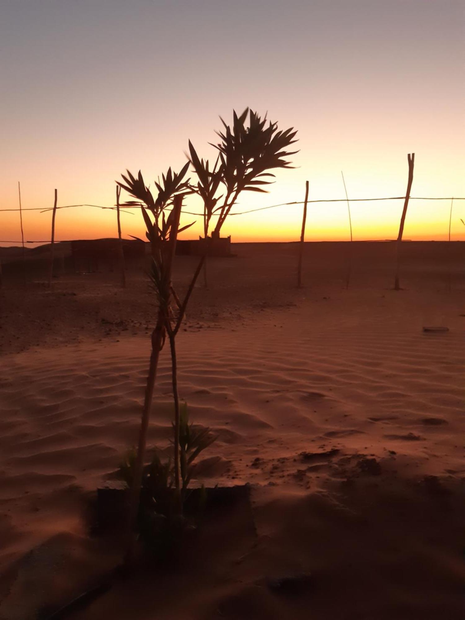 Sahara Peace Camp Hotel Zagora Bagian luar foto